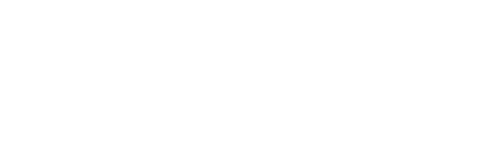 Microsoft Partner